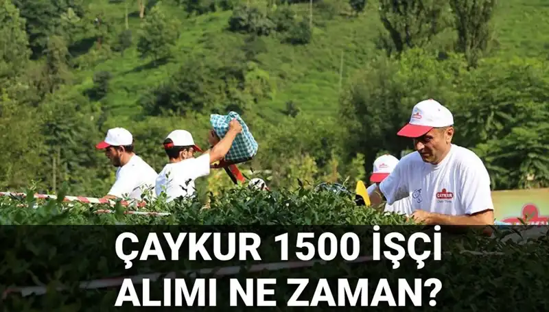 Çaykur İşçi Alımı İçin Başvuru Tarihleri Açıklandı: Süreçte Son Durum Ne?