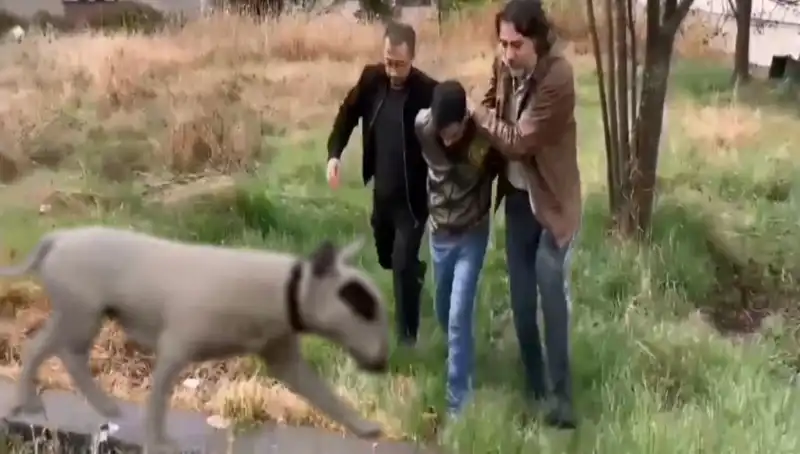 Lüks ve Değerli: Şampiyon Köpeğin Hırsızlığı Olayında Şok Gelişme