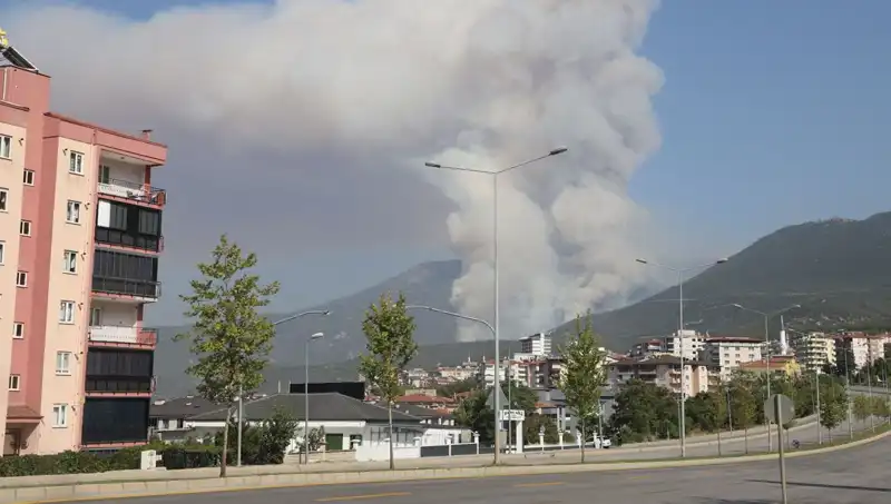 Denizli'de Şüpheli Yakalandı: Orman Yangınları Tehlikesi Artıyor