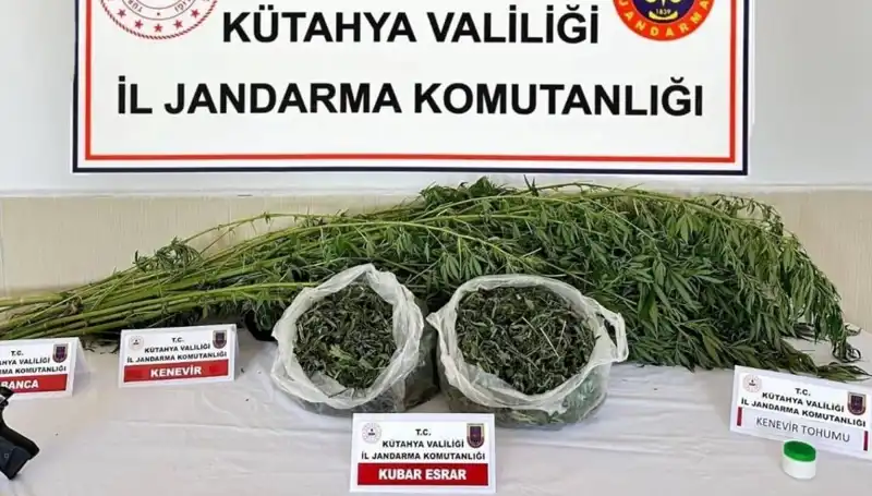 Kütahya'da Uyuşturucu Operasyonu: Şoke Eden Detaylar ve Yakalanan Şahıs
